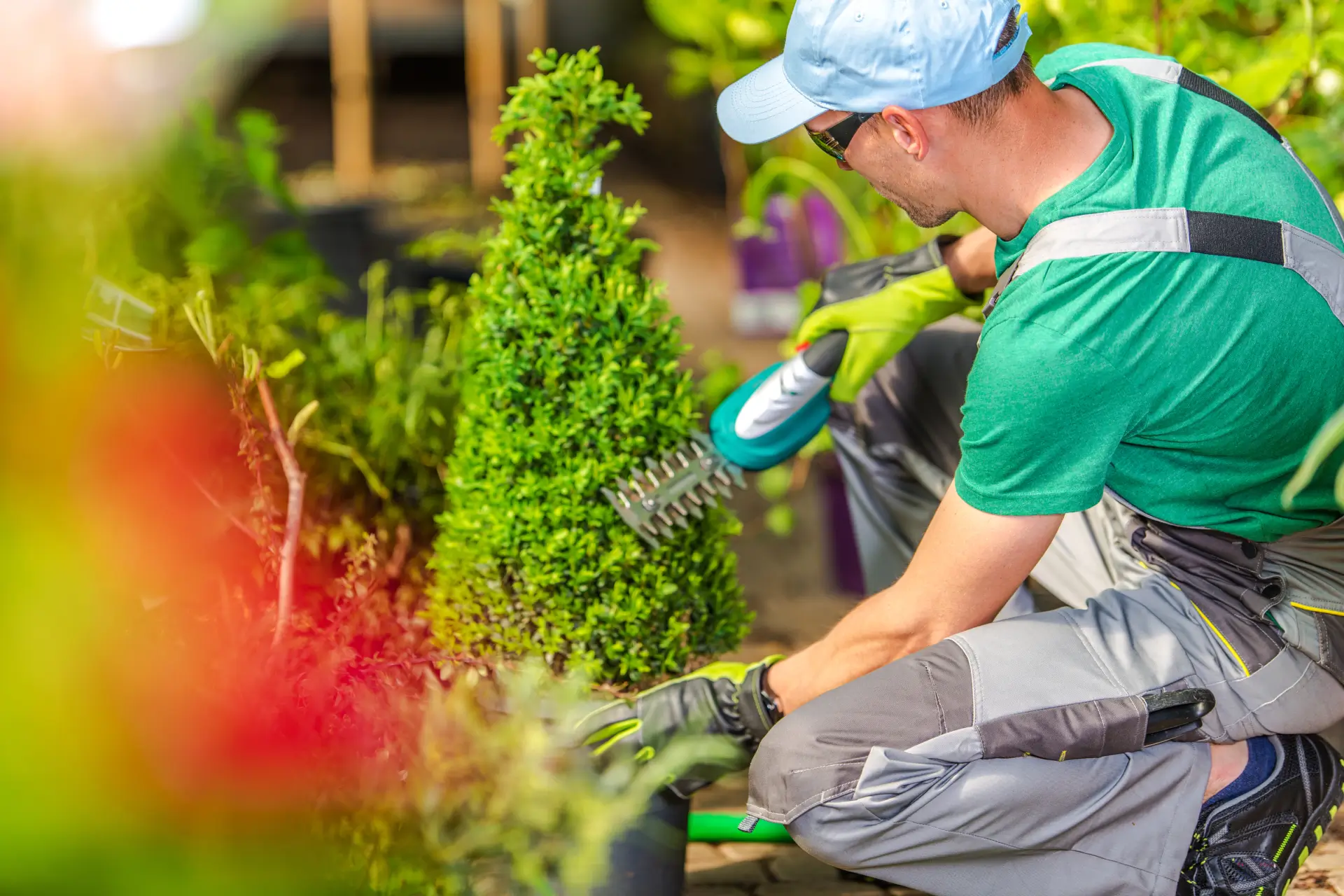 Gardening service 4 (1)