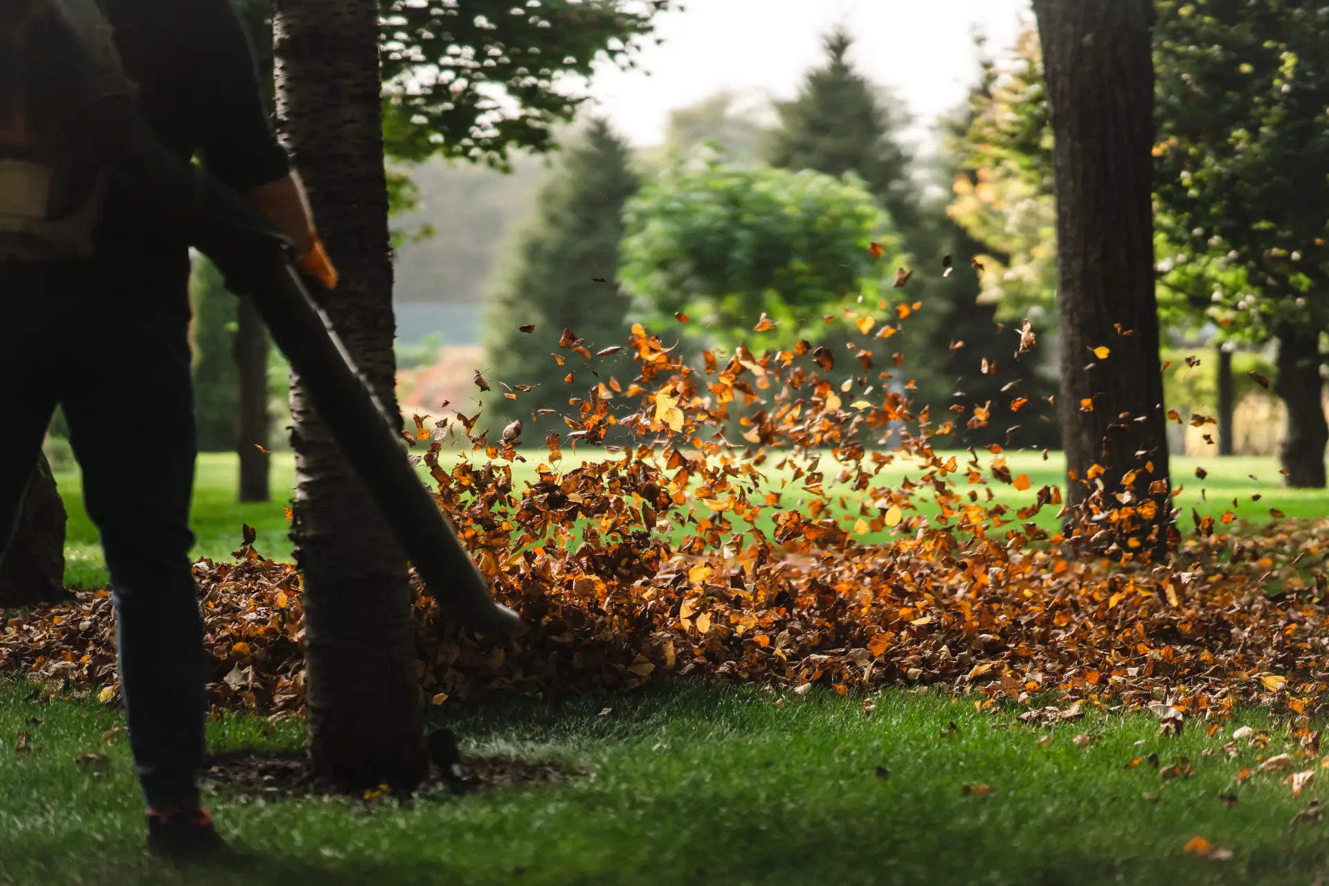 yard cleaning 1 (1)