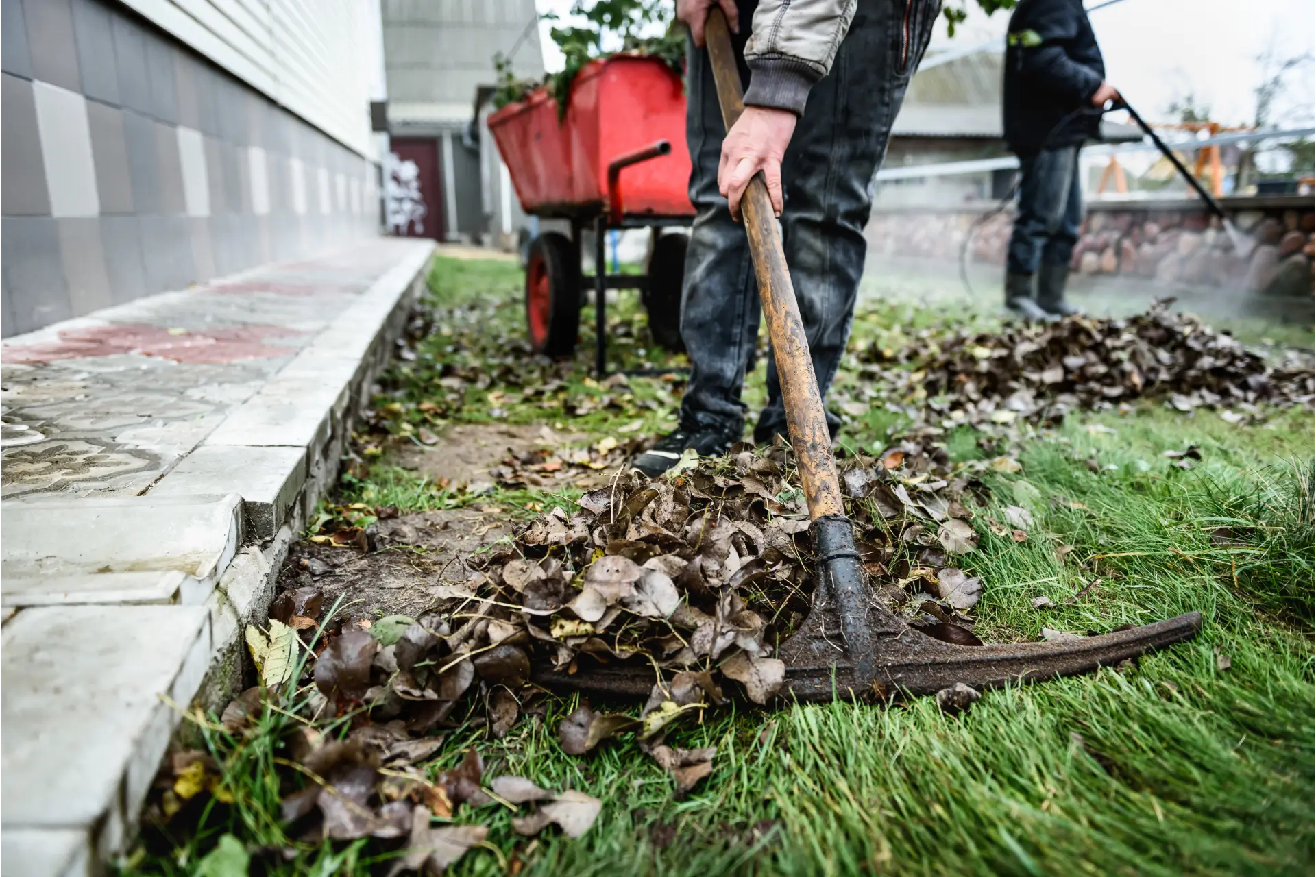 yard cleaning 2 (1)