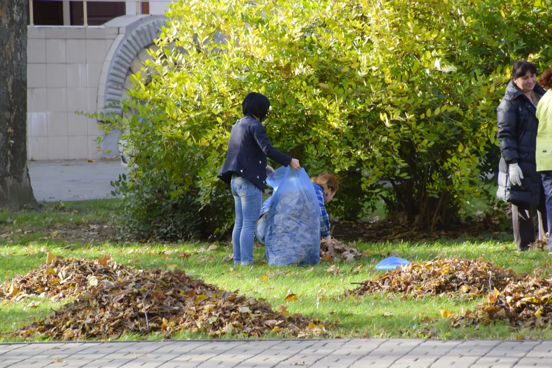 yard cleaning 3 (1)