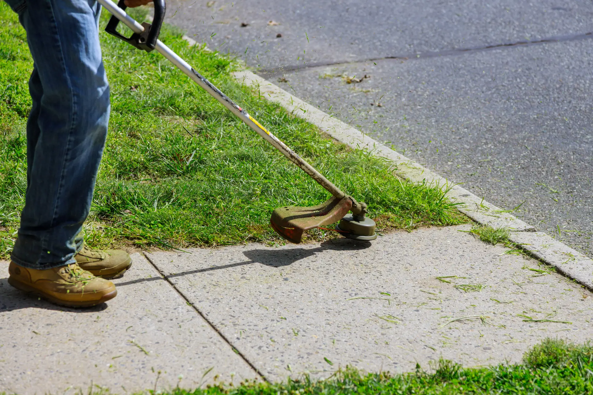 yard cleaning 4 (1)