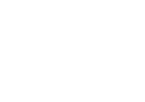 Bernhard white
